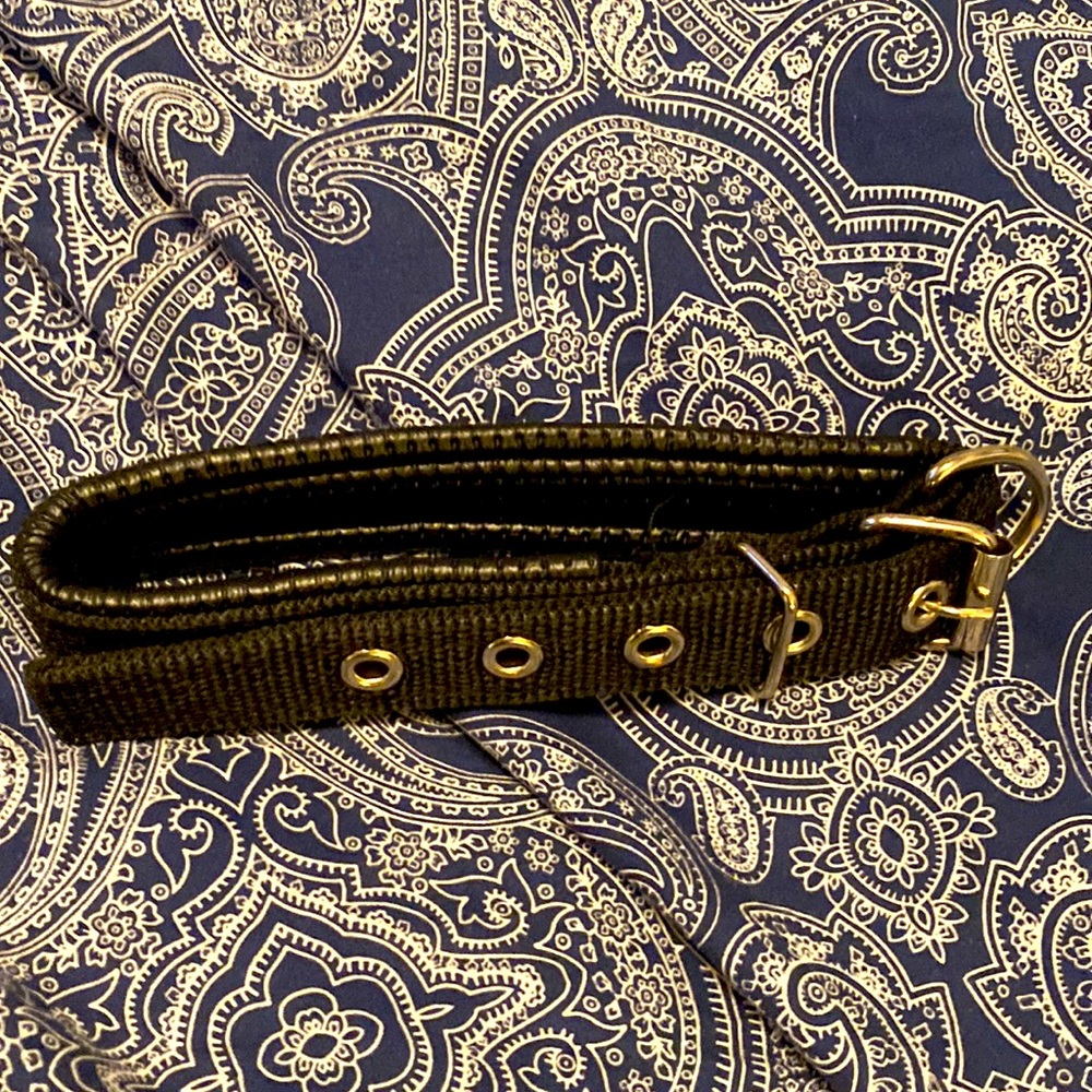🔥HIGH QUALITY BLACK 22" DOG COLLAR